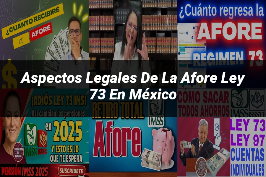"Aspectos legales de la afore ley 73 en México"