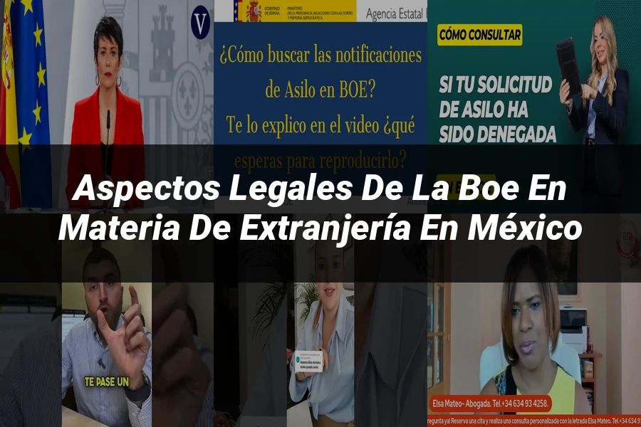 "Aspectos legales de la boe en materia de extranjería en México"