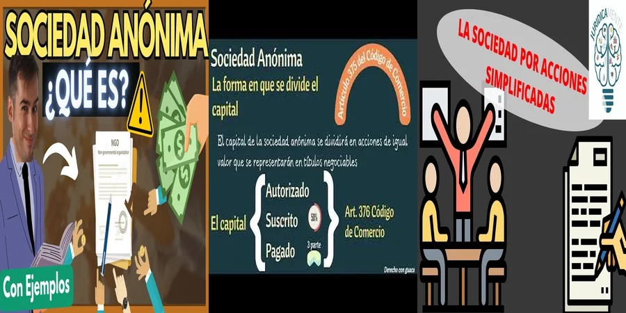 "Aspectos legales de la constitución de sociedades anónimas en México"