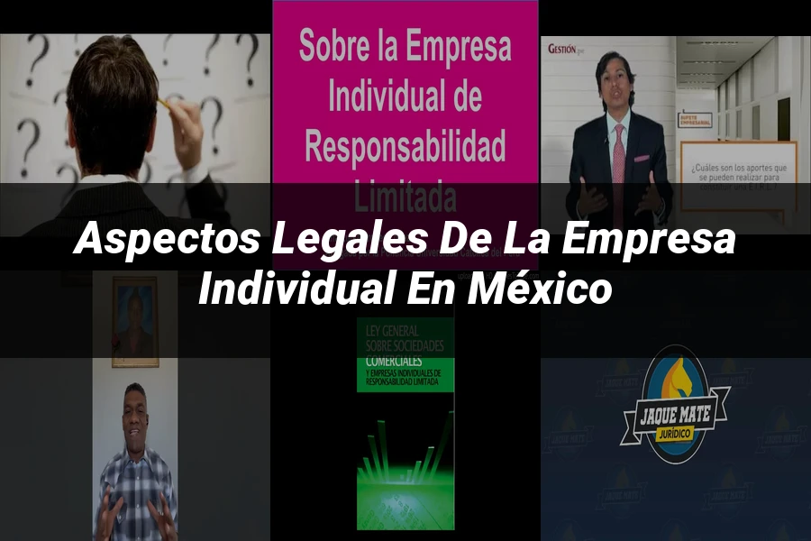 "Aspectos legales de la empresa individual en México"