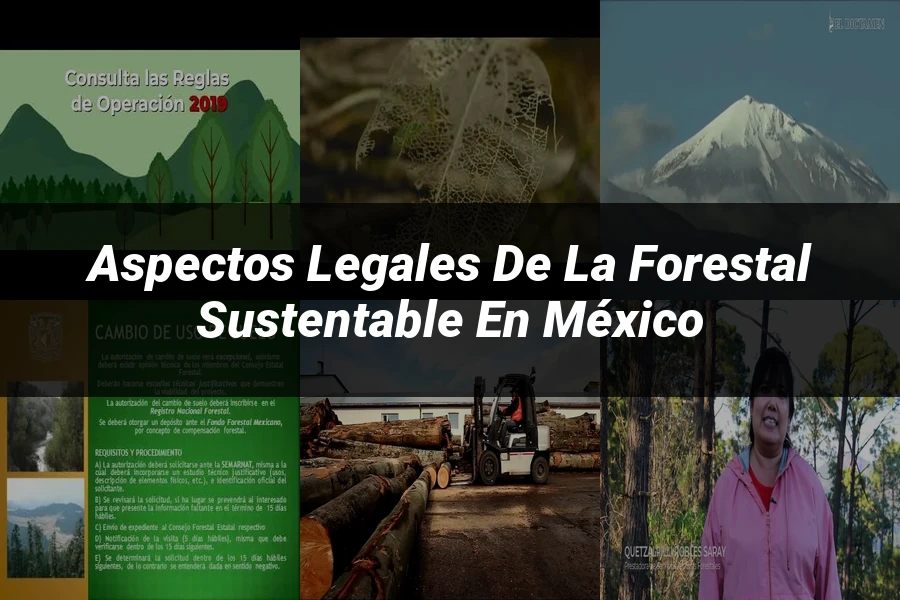 "Aspectos legales de la forestal sustentable en México"