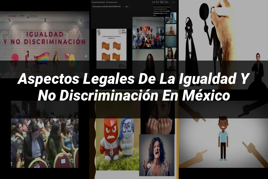 "Aspectos legales de la igualdad y no discriminación en México"