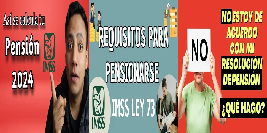 "Aspectos legales de la jubilación en el régimen 73 en México"