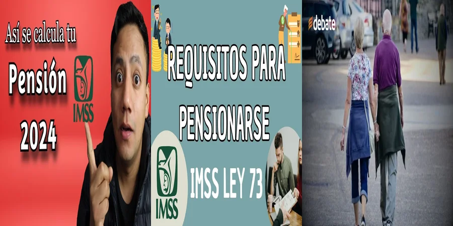 "Aspectos legales de la jubilación modalidad 73 en México"