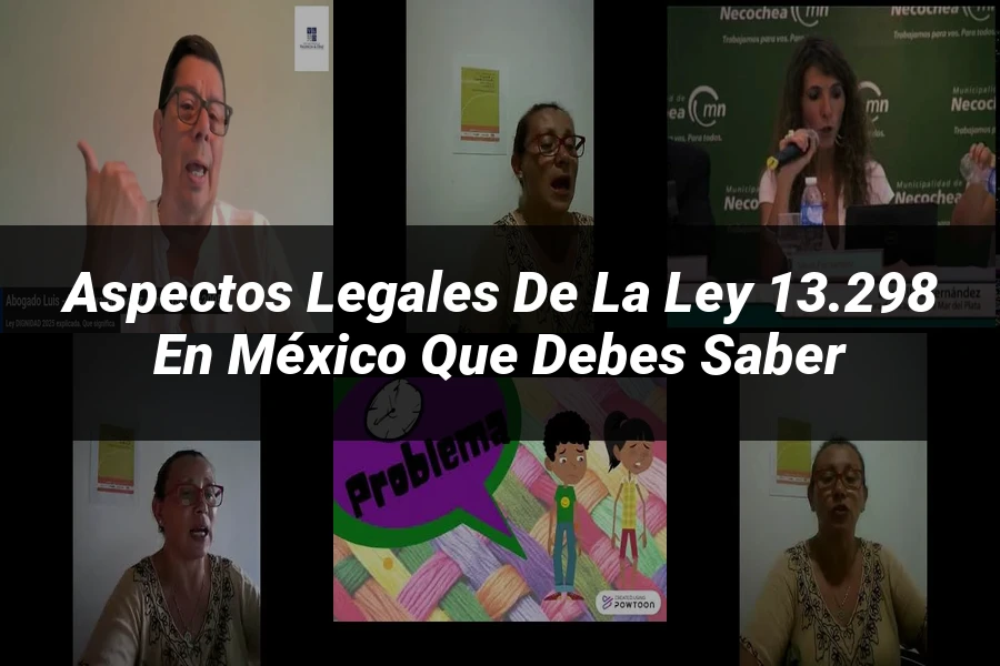"Aspectos legales de la ley 13.298 en México que debes saber"