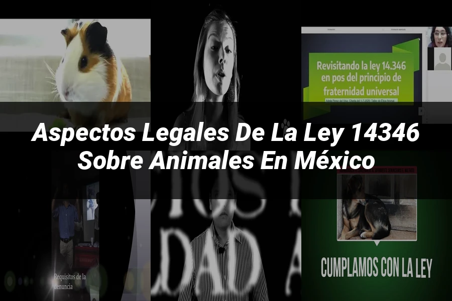 "Aspectos legales de la ley 14346 sobre animales en México"