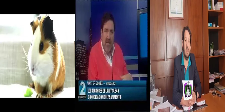 "Aspectos legales de la ley 14346 sobre animales en México"