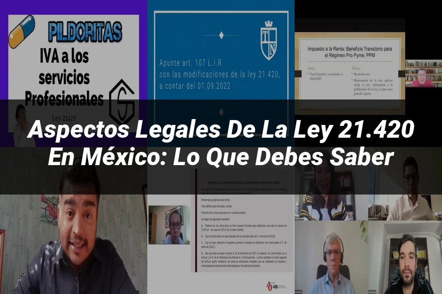 "Aspectos legales de la ley 21.420 en México: lo que debes saber"