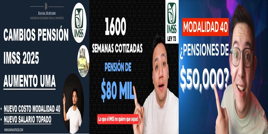 "Aspectos legales de la ley 40 sobre jubilación en México"