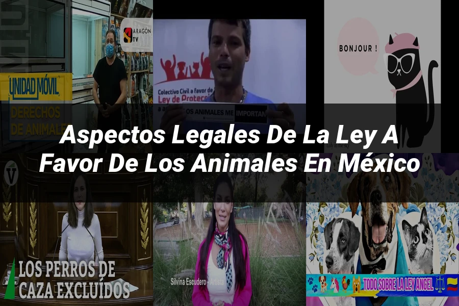 "Aspectos legales de la ley a favor de los animales en México"