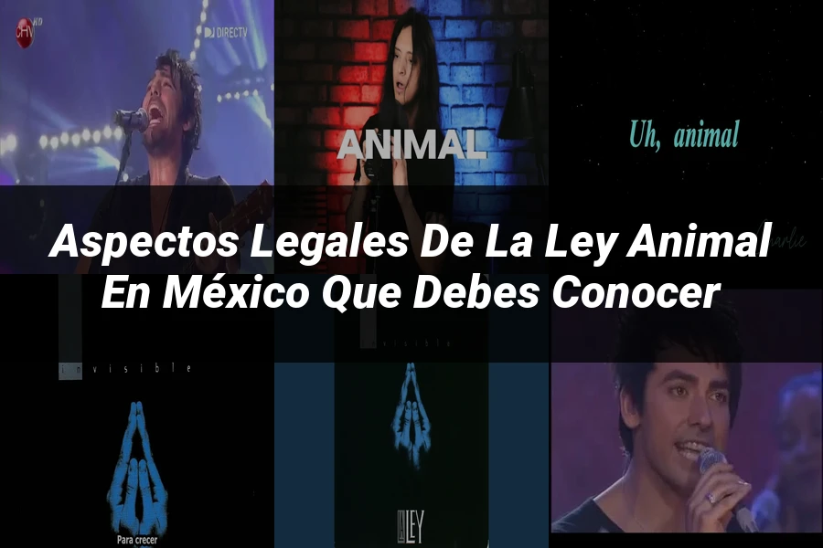"Aspectos legales de la ley animal en México que debes conocer"
