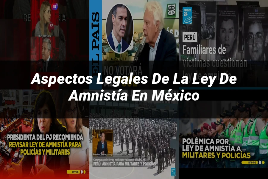 "Aspectos legales de la ley de amnistía en México"