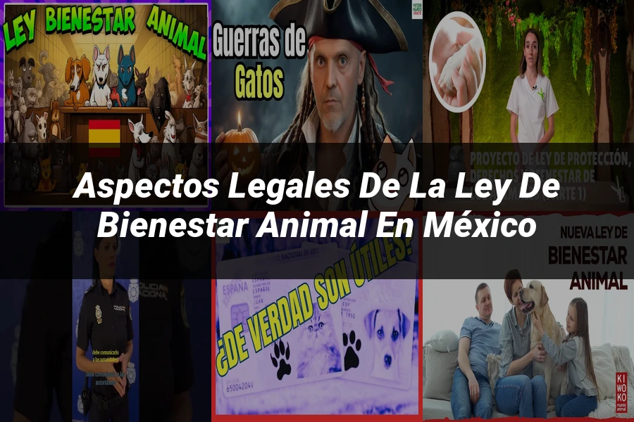 "Aspectos legales de la ley de bienestar animal en México"