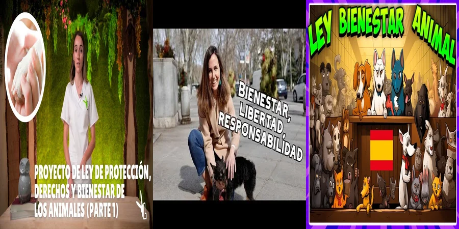 "Aspectos legales de la ley de bienestar animal en México"