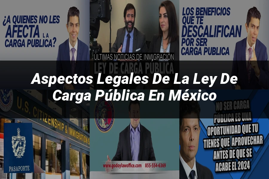 "Aspectos legales de la ley de carga pública en México"