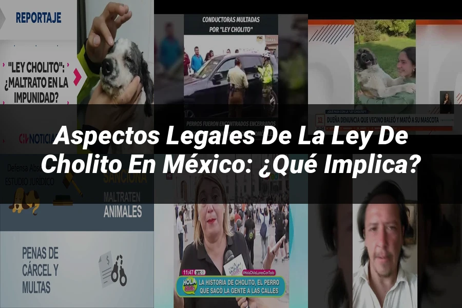"Aspectos legales de la ley de cholito en México: ¿Qué implica?"