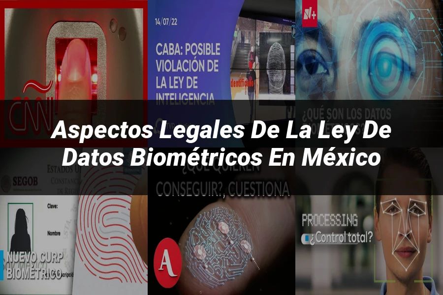 "Aspectos legales de la ley de datos biométricos en México"