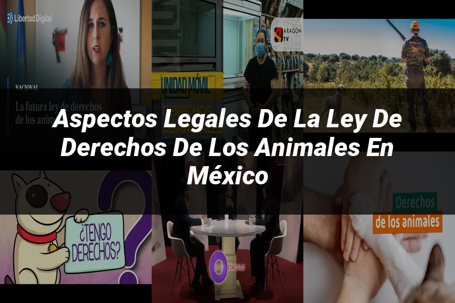 "Aspectos legales de la ley de derechos de los animales en México"