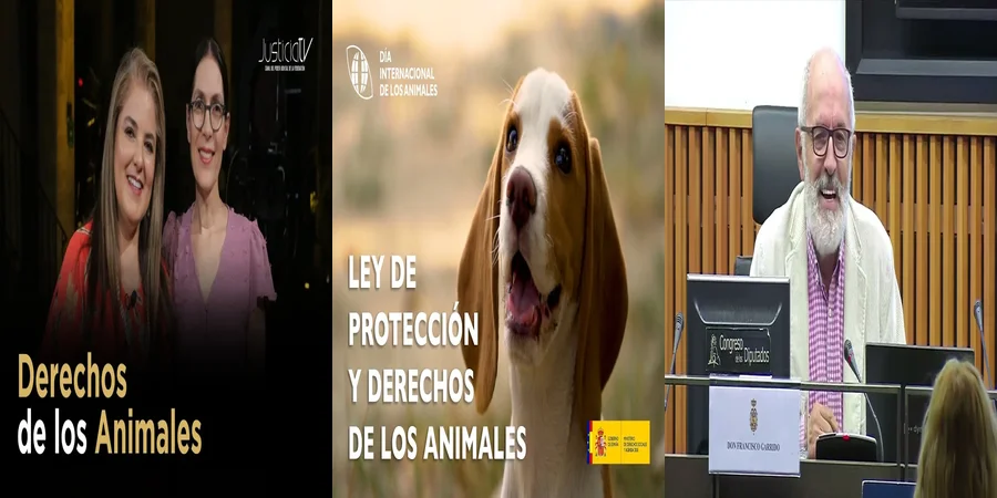 "Aspectos legales de la ley de derechos de los animales en México"
