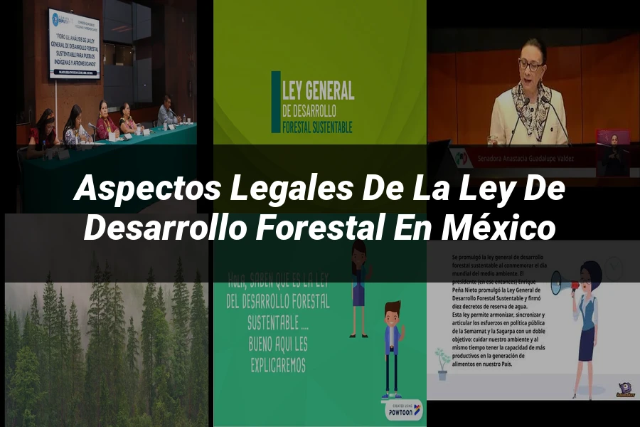 "Aspectos legales de la ley de desarrollo forestal en México"