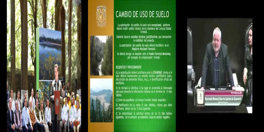 "Aspectos legales de la ley de desarrollo forestal en México"