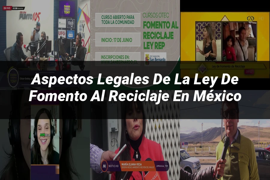 "Aspectos legales de la ley de fomento al reciclaje en México"