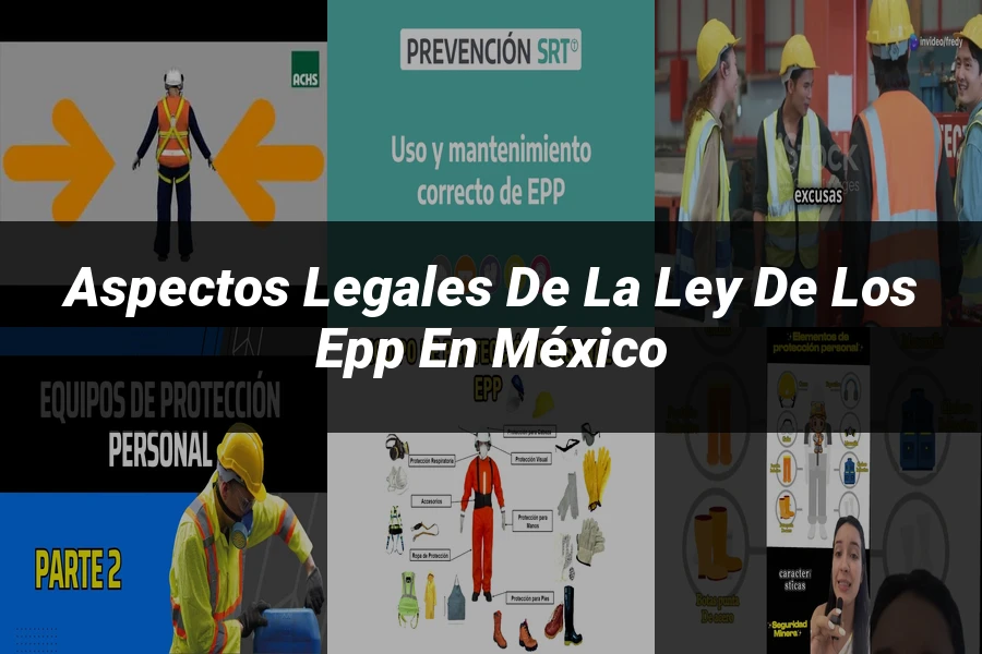 "Aspectos legales de la ley de los EPP en México"
