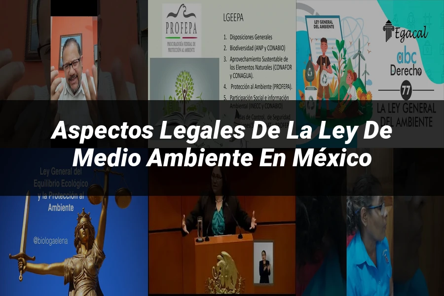 "Aspectos legales de la ley de medio ambiente en México"