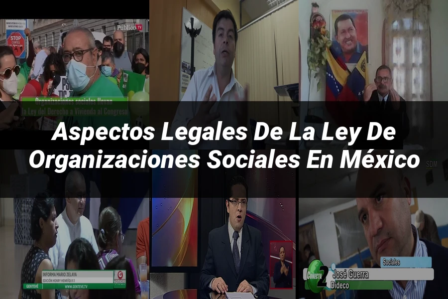 "Aspectos legales de la ley de organizaciones sociales en México"