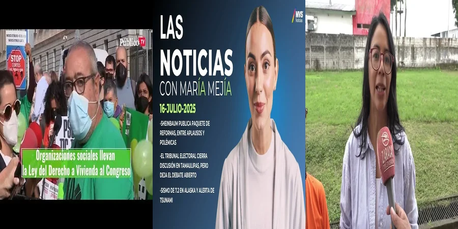"Aspectos legales de la ley de organizaciones sociales en México"