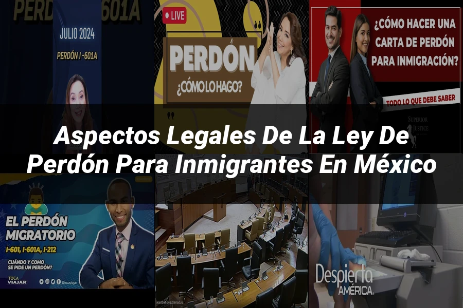 "Aspectos legales de la ley de perdón para inmigrantes en México"
