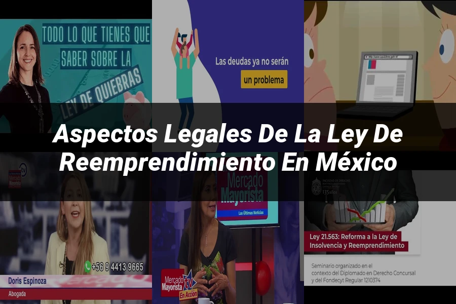 "Aspectos legales de la ley de reemprendimiento en México"