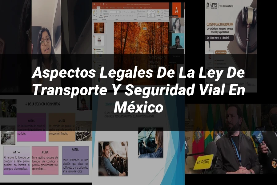 "Aspectos legales de la ley de transporte y seguridad vial en México"