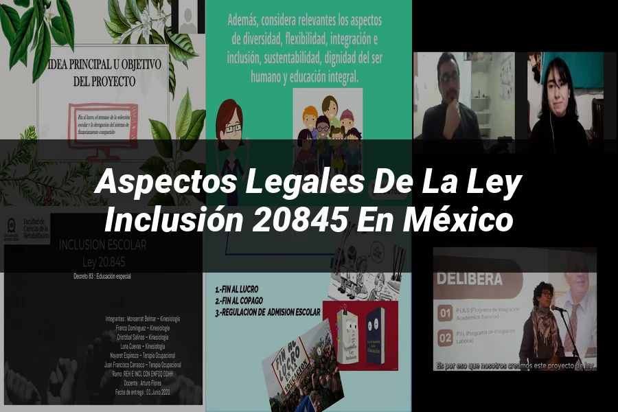 "Aspectos legales de la ley inclusión 20845 en México"