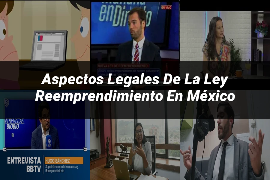 "Aspectos legales de la ley reemprendimiento en México"