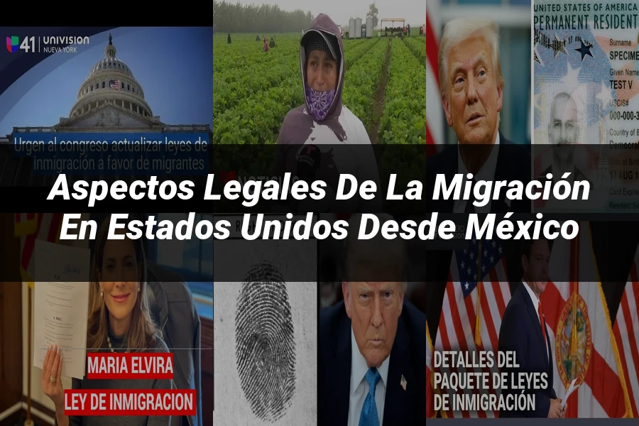 "Aspectos legales de la migración en Estados Unidos desde México"