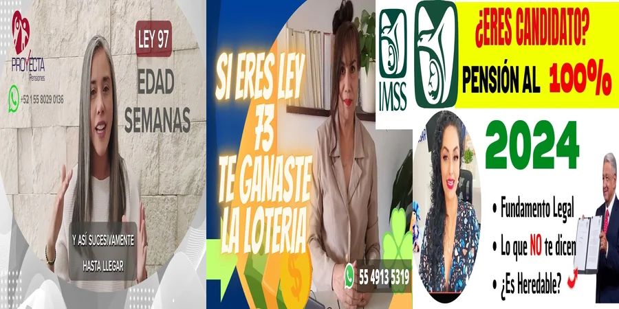 "Aspectos legales de la modalidad 97 del IMSS en México"