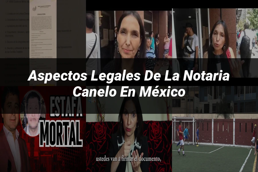 "Aspectos legales de la notaria Canelo en México"