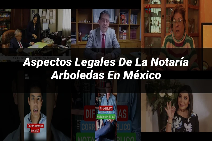 "Aspectos legales de la notaría Arboledas en México"