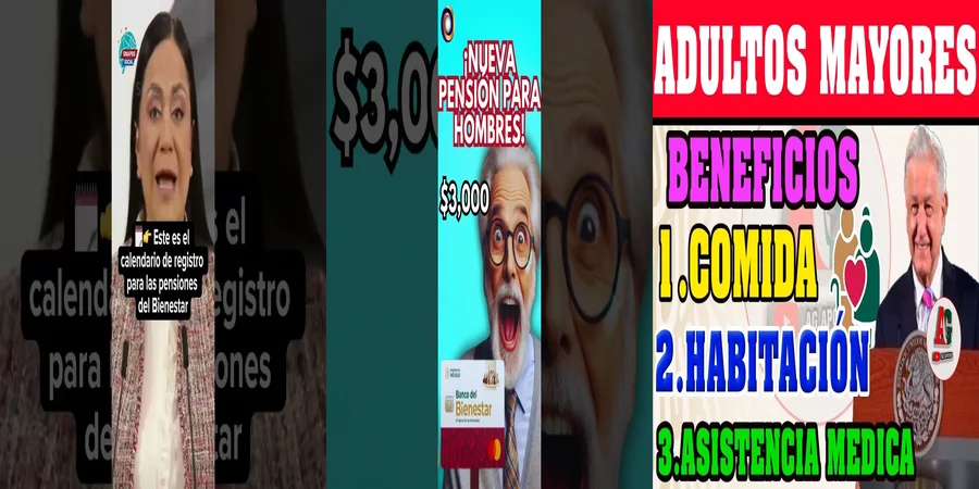 "Aspectos legales de la nueva pensión para adultos mayores en México"