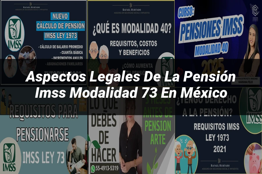 "Aspectos legales de la pensión IMSS modalidad 73 en México"