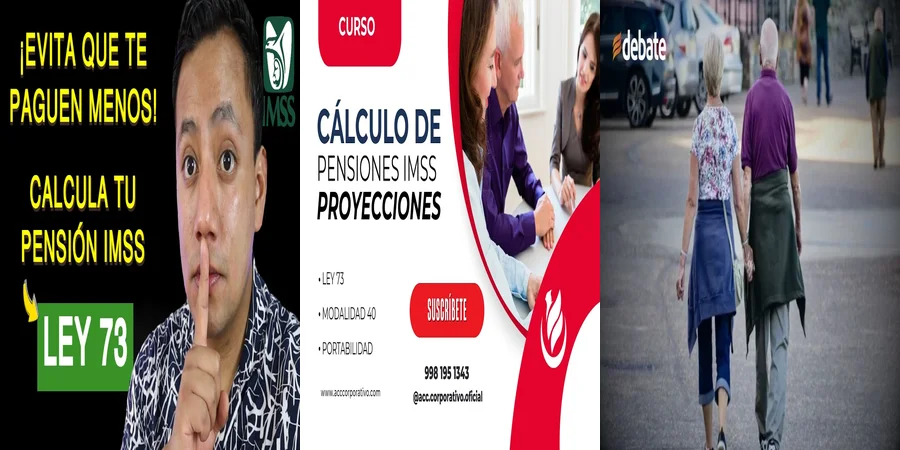 "Aspectos legales de la pensión IMSS modalidad 73 en México"