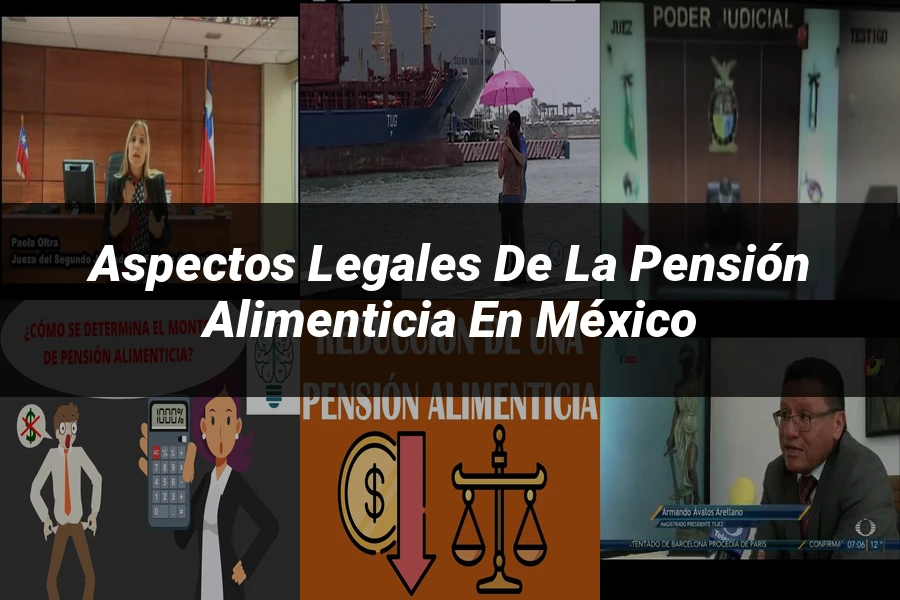"Aspectos legales de la pensión alimenticia en México"