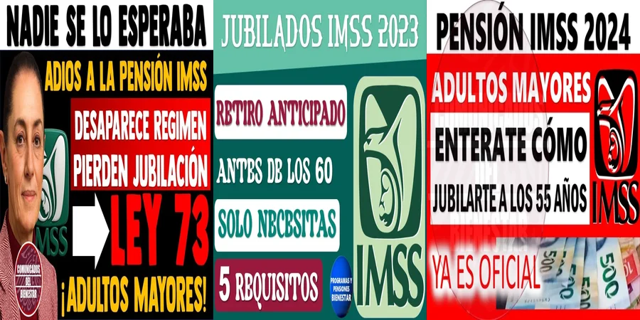"Aspectos legales de la pensión anticipada según la ley 1973 en México"
