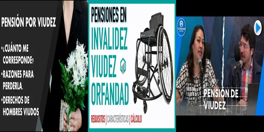 "Aspectos legales de la pensión de viudez IMSS 1973 en México"
