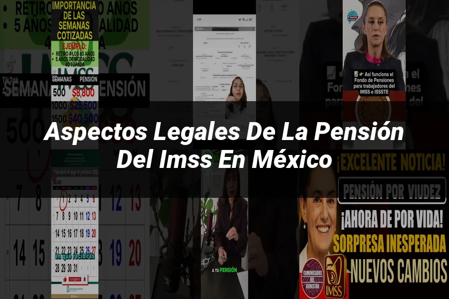 "Aspectos legales de la pensión del IMSS en México"