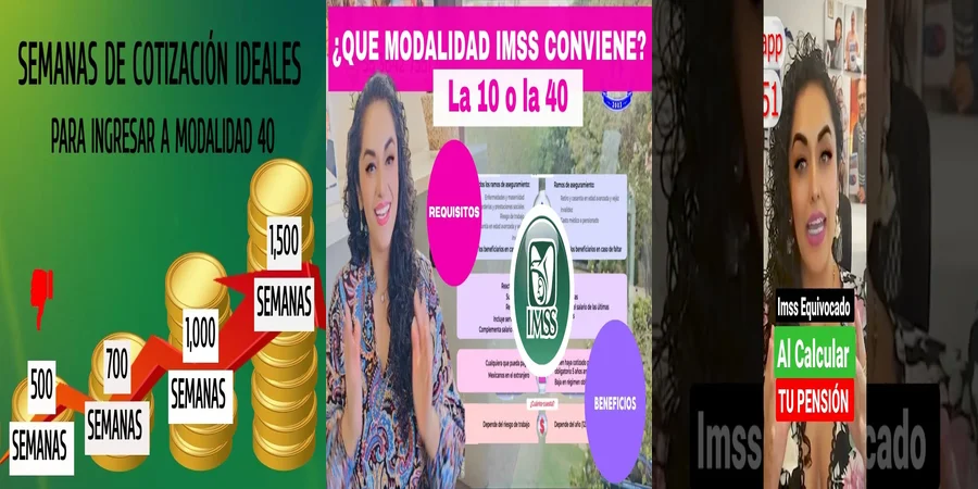 "Aspectos legales de la pensión del IMSS modalidad 40 en México"