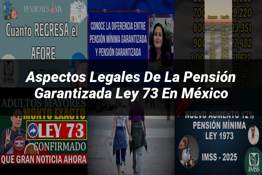"Aspectos legales de la pensión garantizada Ley 73 en México"