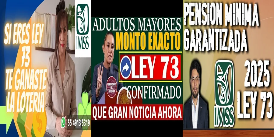 "Aspectos legales de la pensión garantizada Ley 73 en México"
