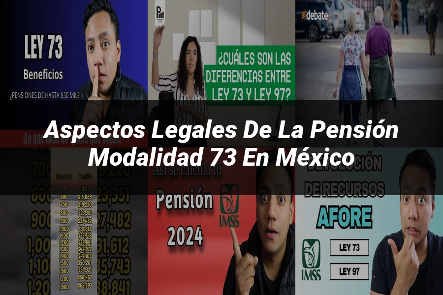 "Aspectos legales de la pensión modalidad 73 en México"